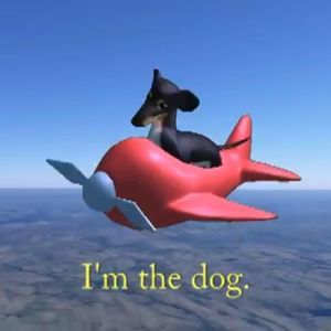 Meet your Posher, Jarod